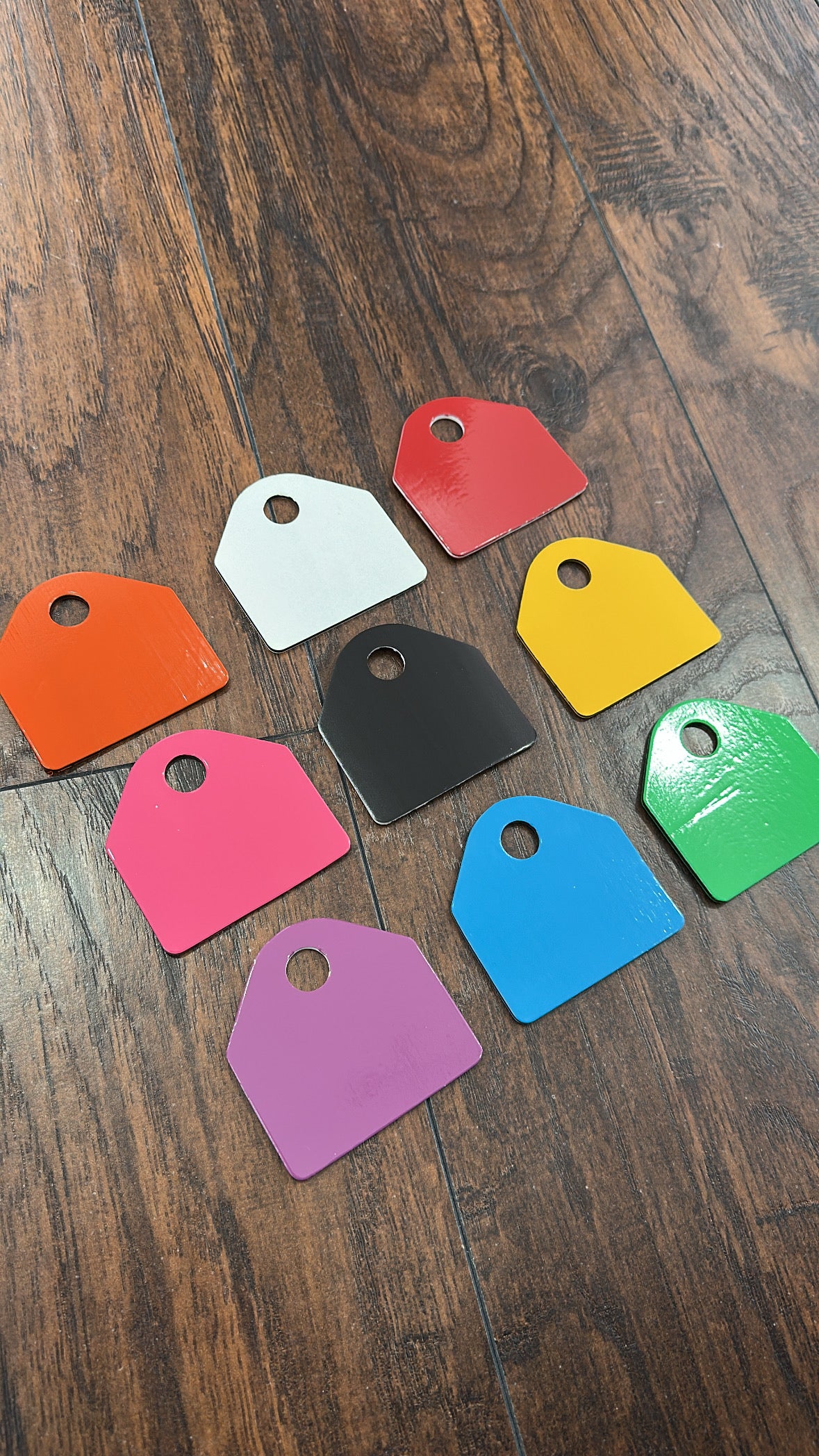 Horse Blanket ID Tag