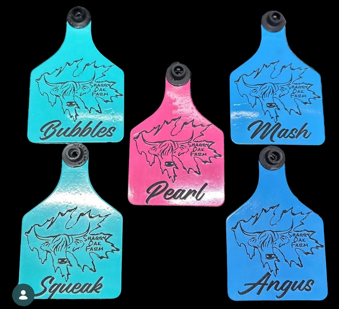 Engraved Ritchey Cattle Tags